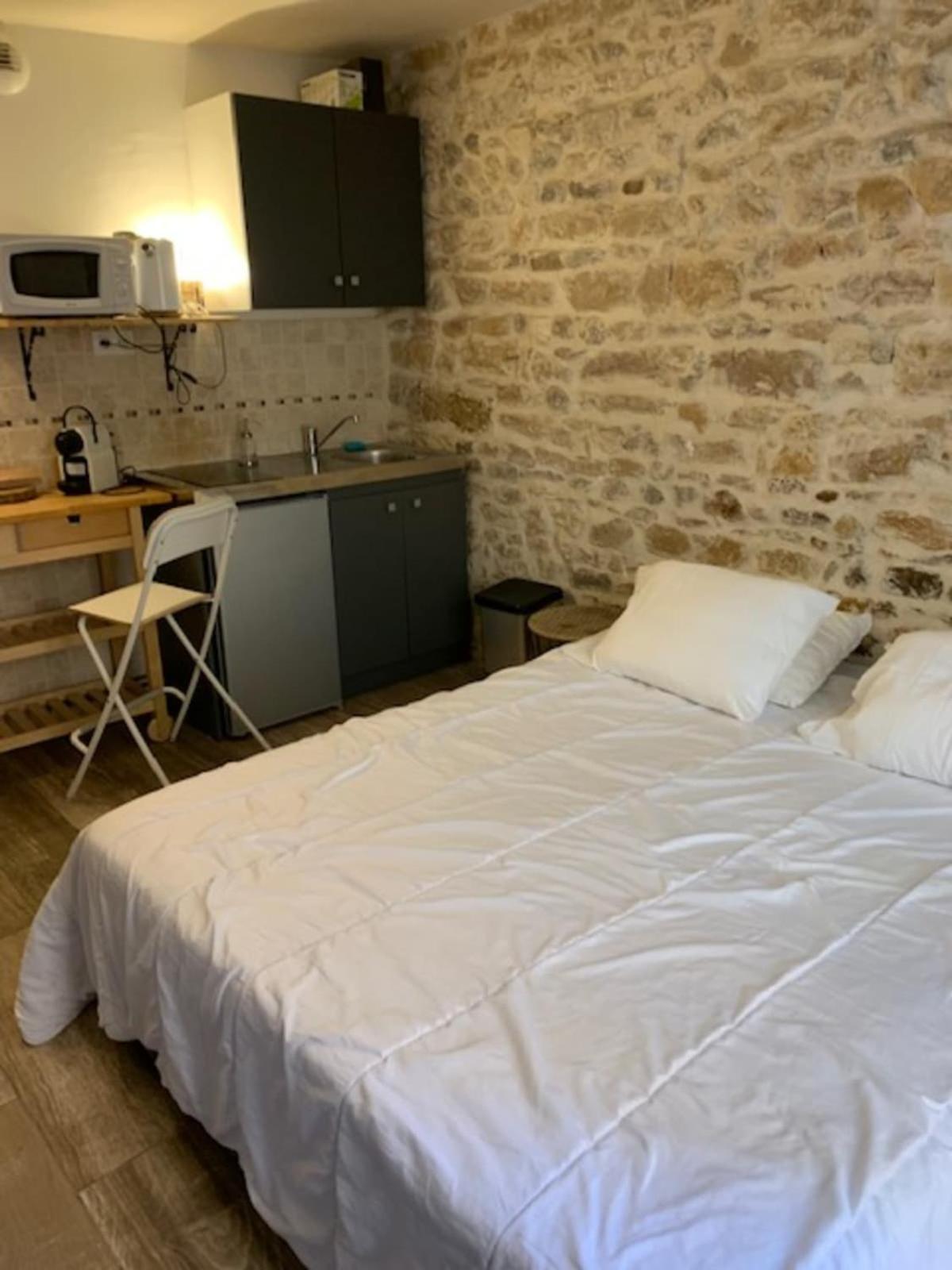 Studio With Exposed Stone Vieux Lyon Ngoại thất bức ảnh